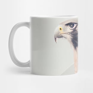 Falcon Nature Outdoor Imagine Wild Free Mug